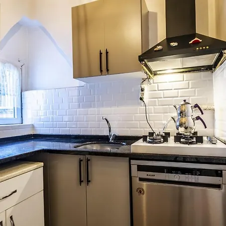 Διαμέρισμα Flat With Bosphorus View And Terrace In Beyoglu Κωνσταντινούπολη
